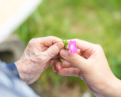 訪問看護師からのメッセージ